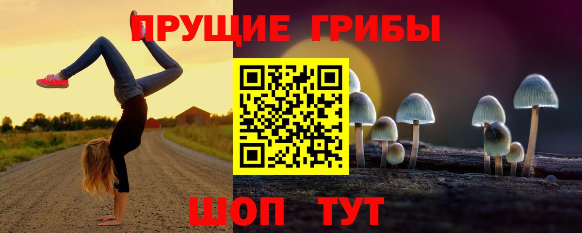 Фролово  Псилоцибиновые грибы Cubensis  продажа наркотиков  Вход с VPN 